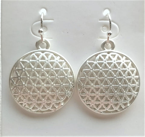 10954-7 Earrings Matte Silver