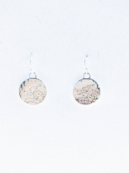 11013 Earrings Silver Shiny Speckled