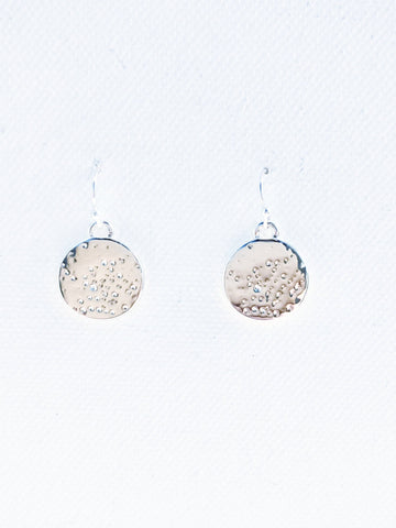 11013 Earrings Silver Shiny Speckled